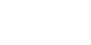The Plant Collector